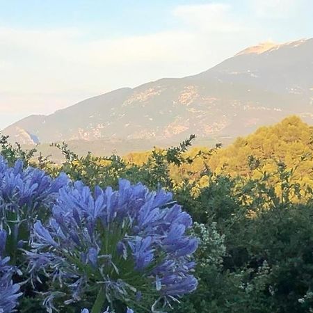 Bed and Breakfast L 'Haveli Vaison-la-Romaine Exterior foto