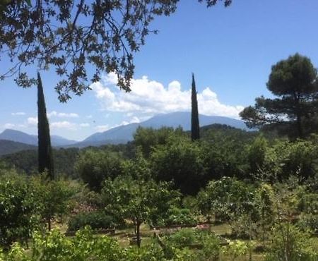 Bed and Breakfast L 'Haveli Vaison-la-Romaine Exterior foto