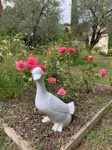 Bed and Breakfast L 'Haveli Vaison-la-Romaine Exterior foto