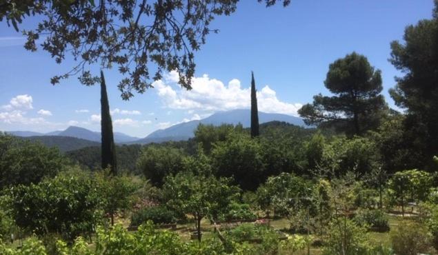 Bed and Breakfast L 'Haveli Vaison-la-Romaine Exterior foto